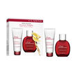 Clarins Dynamic Delights