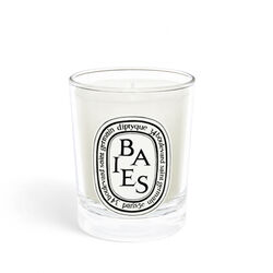 Diptyque Berries  Small Candle 70g
