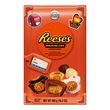 Hersheys Assorted Reese's Miniatures Traveler Collection Box  460g