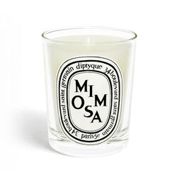 Diptyque Mimosa  Candle 190g