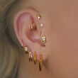 Torc Sterling Silver Hoop Earrings 18ct Gold