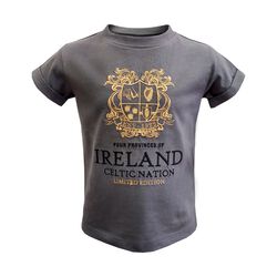 Traditional Craft Kids Grey Ireland Four Province Kids T-shirt 1/2 Years
