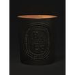 Diptyque Baies Candle 600g