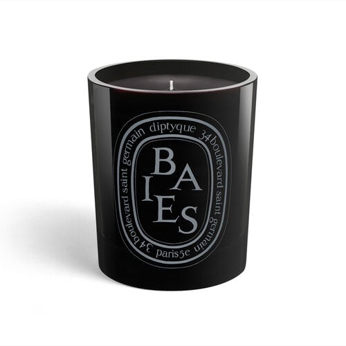 Diptyque Baies / Berries Candle 300g