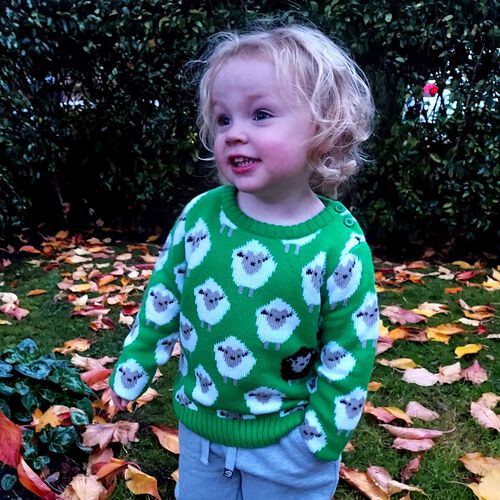 Traditional Craft Kids Green Sheep Knit Kids Jumper 1/2 Years