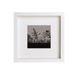 Martina Scott Gorse, Blackbird and Berry Framed  34x34x4cm