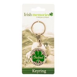 Irish Memories Lucky Irish Shamrock Spinning Keyring