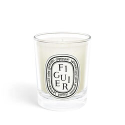 Diptyque Fig Tree  Small Candle 70g