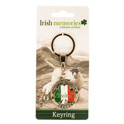 Irish Memories Tricolour Shamrock Spinning Keyring