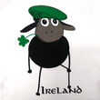 Traditional Craft Kids White/Emerald Green Sheep Ireland Raglan Kids T-Shirt 1-2 Years